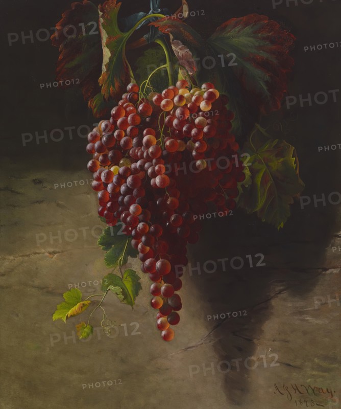Bunch of Grapes, 1873. Creator: Andrew John Henry Way.