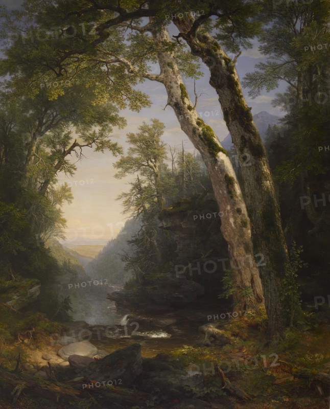 The Catskills, 1859. Creator: Asher Brown Durand.