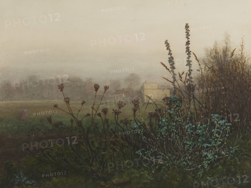 Rural Landscape, 1865. Creator: Leon Bonvin.