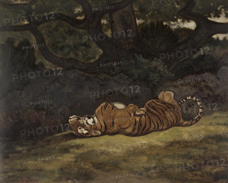Tiger Rolling, c1850-1869. Creator: Antoine-Louis Barye.