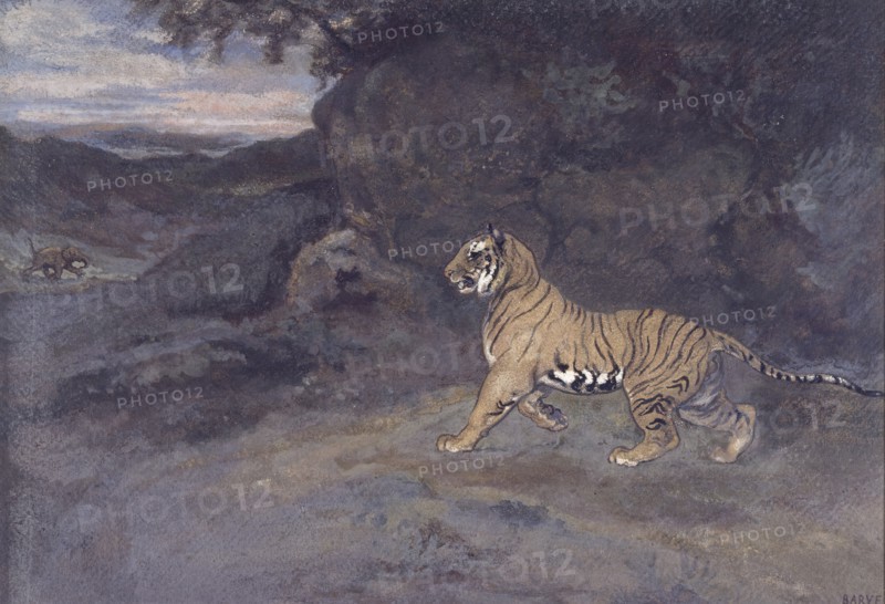 Tiger Watching an Elephant, c1857. Creator: Antoine-Louis Barye.
