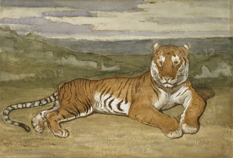 Tiger at Rest, c1830s-1840s. Creator: Antoine-Louis Barye.