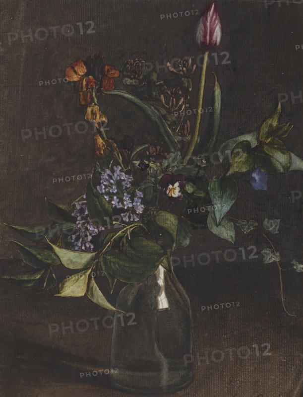 Bouquet of Flowers with a Tulip, c1862. Creator: Leon Bonvin.