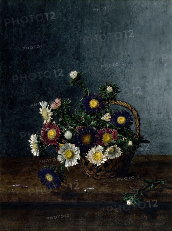 Basket of Oxeye Daisies, 1863. Creator: Leon Bonvin.