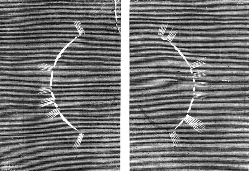 The Eclipse of the Sun on July 18 in Spain - beginning of the corona - from a sketch by..., 1860. Creator: Unknown.