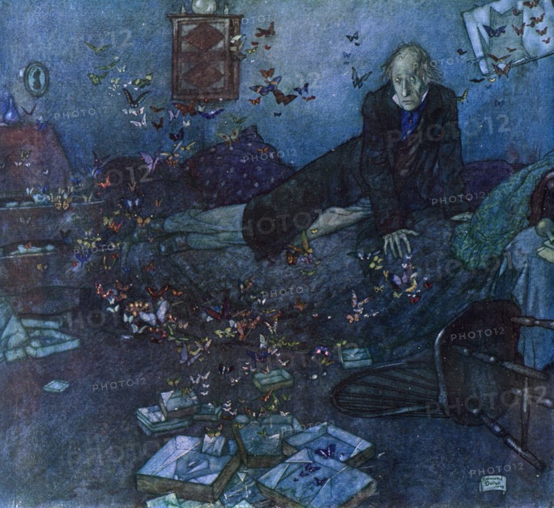 'The Entomologist's Dream'