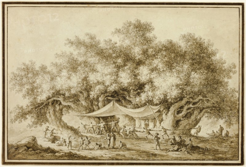 View of the Famous Chestnut Tree of Mount Etna, called Centum Cavalli, 1784. Creator: Claude Louis Chatelet.