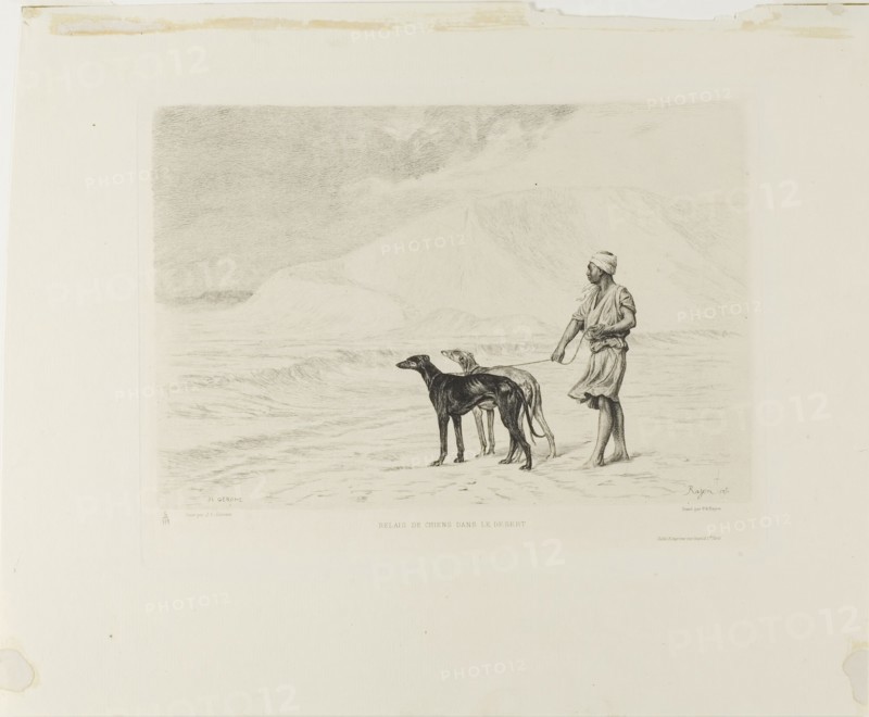 Relay of Dogs in the Desert, c. 1866. Creator: Paul Adolphe Rajon.