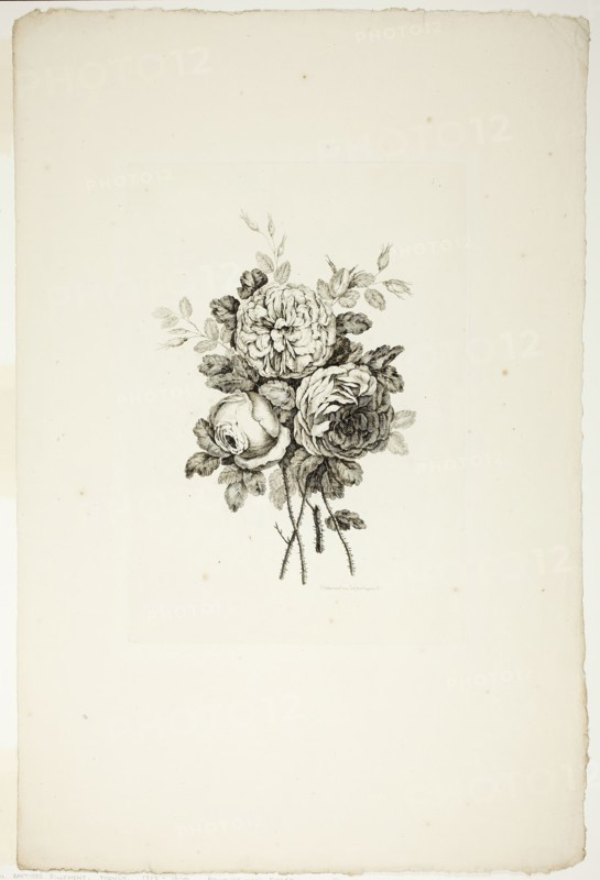 Bouquet with Roses, from Collection of Different Bouquets of Flowers, In..., published July 4, 1760. Creator: Pierre-Charles Canot.