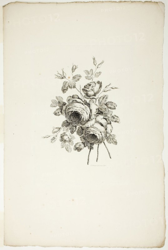 Bouquet with Roses, from Collection of Different Bouquets of Flowers, In..., published July 4, 1760. Creator: Pierre-Charles Canot.