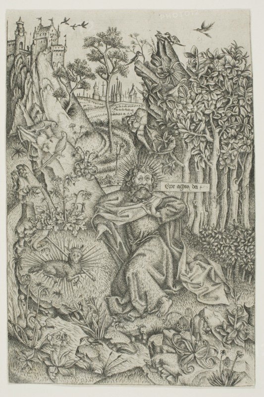 St. John the Baptist in the Wilderness, c. 1450. Creator: Master of Saint John the Baptist.