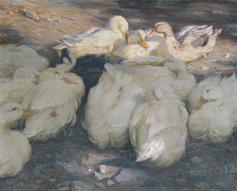 In the evening sun, c1900. Creator: Alexander Koester.