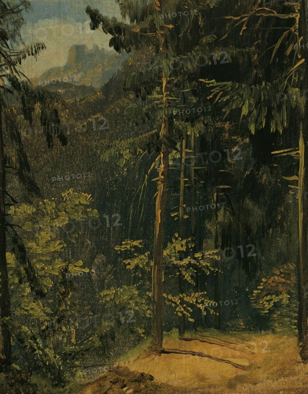 Forest path in the Harz, 1833. Creator: Karl Blechen.
