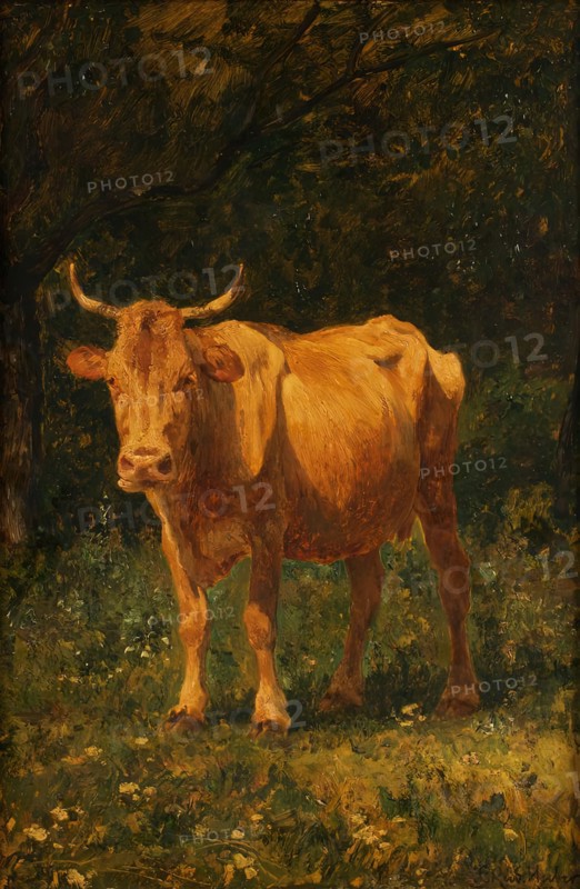 Bread-colored cow, 1889. Creator: Carl Rudolf Huber.