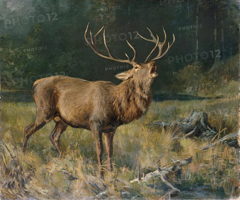 Rutting deer, 2nd half of the 19th century. Creator: Franz Xaver von Pausinger.