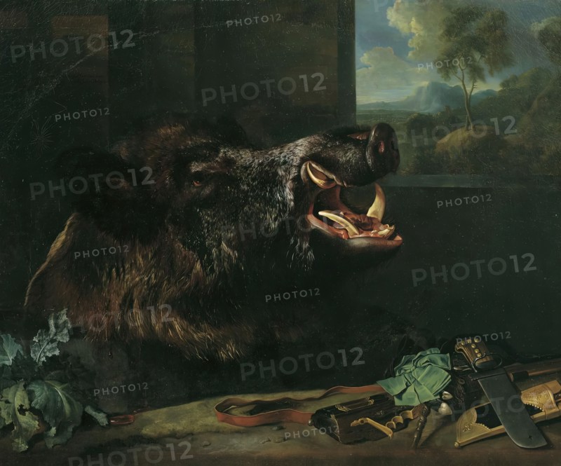 Wild boar still life, 1718. Creator: Johann Georg de Hamilton.