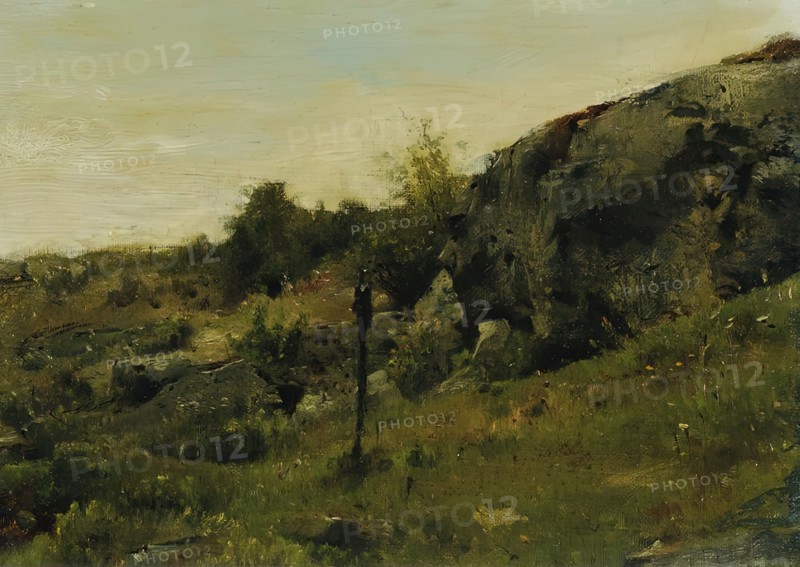 Meadow landscape with rocks, c1860/1870. Creator: Johann Till.