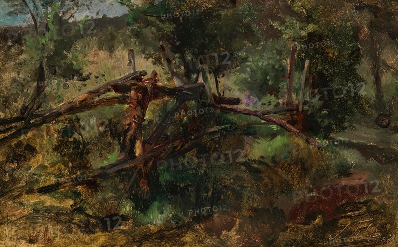 Forest road with fence, c1870/1880. Creator: Johann Till.