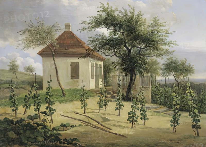 Pavilion on Dr. Körner’s vineyard near Loschwitz, 1828. Creator: Traugott Faber.
