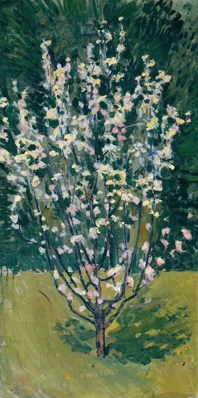 Blooming small tree, 1913. Creator: Koloman Moser.