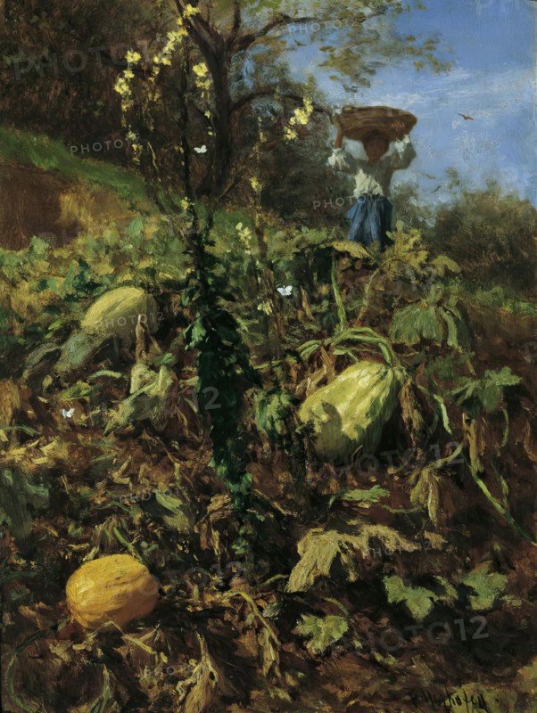 The pumpkin patch, 1862. Creator: August von Pettenkofen.