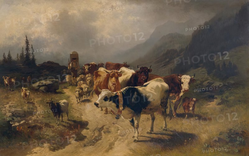 Cattle herding, 1870. Creator: Conrad Buhlmayer.