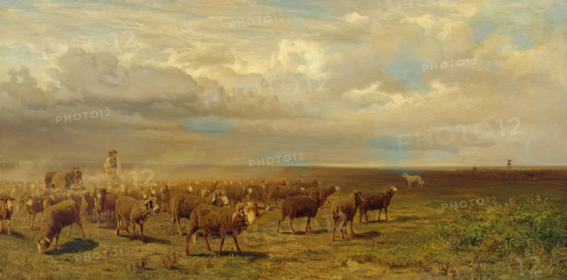 Flock of sheep in the Puszta, 1872. Creator: Gustav Ranzoni.