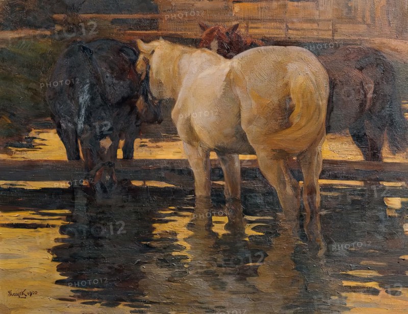 Horses in the flood, 1900. Creator: Hans von Hayek.