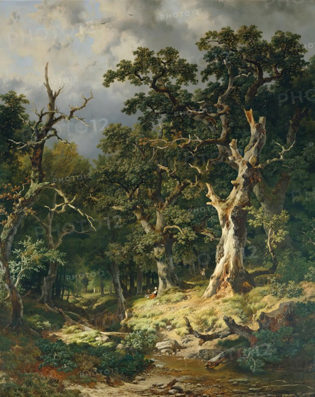 Oak forest, 1870/1875. Creator: Remigius Adrianus Haanen.