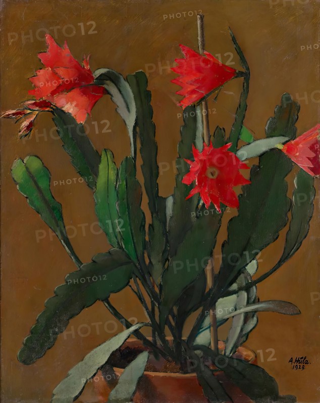 Still life with blooming cactus, 1929. Creator: Anton Hula.