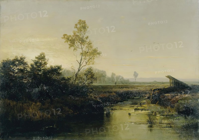 Moorland landscape, 1886. Creator: Emilie Mediz-Pelikan.