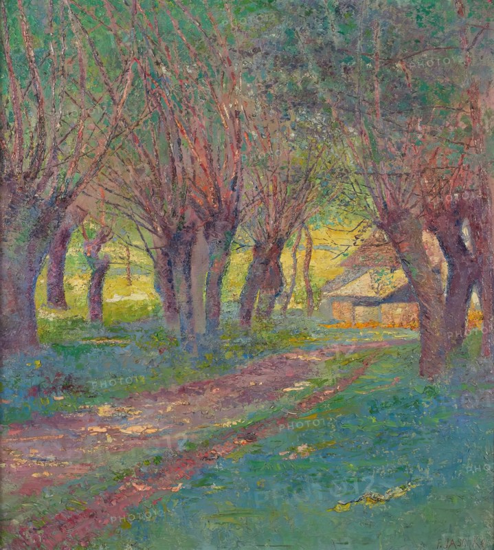 Pollarded willows in Weyer, 1909. Creator: Franz Jaschke.