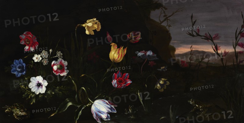 Flowers by a Pond with Frogs, 1670-1679. Creator: Giuseppe Recco.