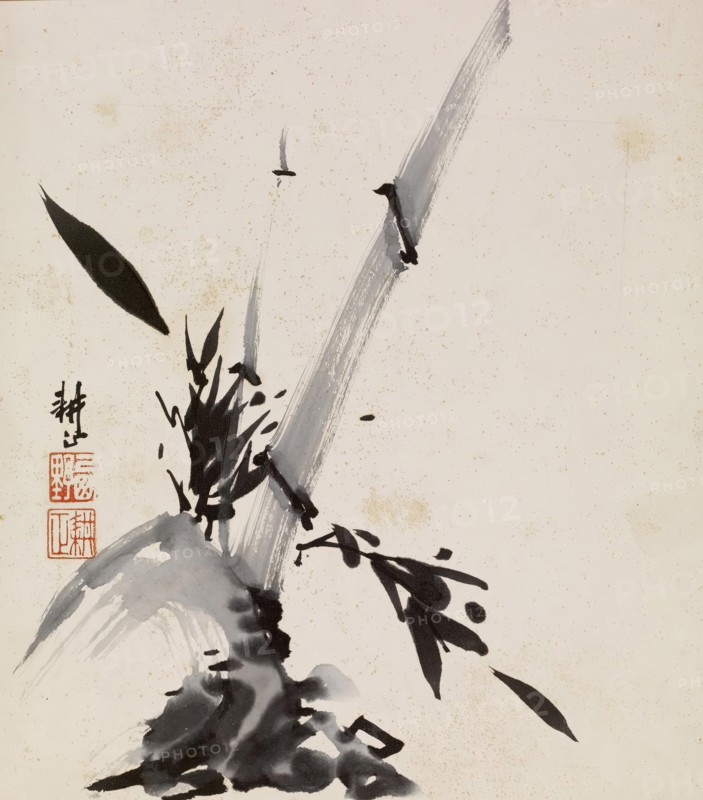 Bamboo, 1900-1950. Creator: Unknown.