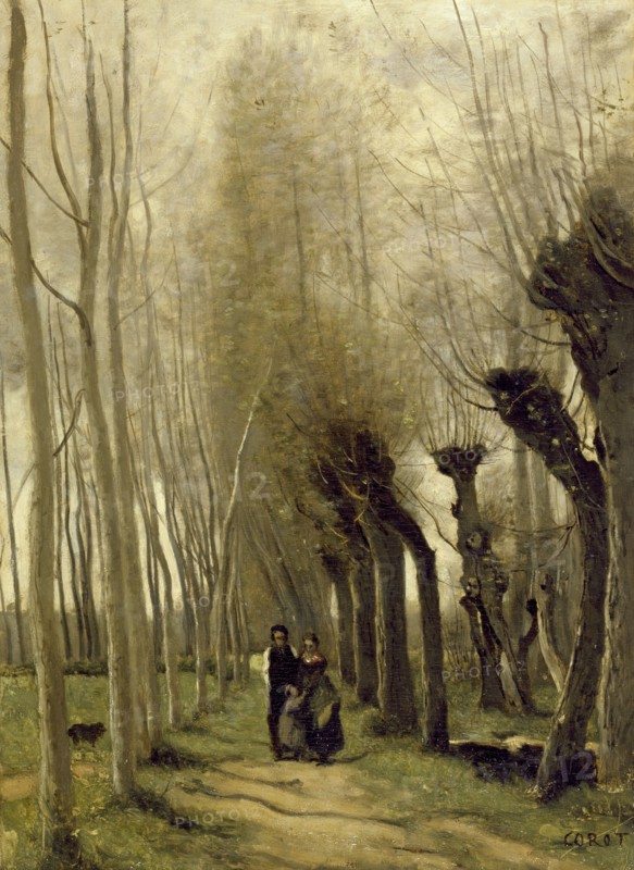 The Willows of Marissel, 1857. Creator: Jean-Baptiste-Camille Corot.