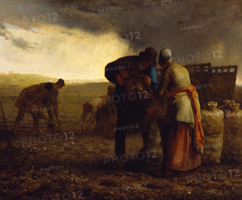 The Potato Harvest, 1855. Creator: Jean Francois Millet.