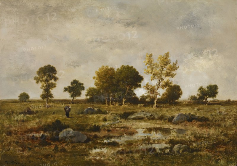 Effect of Autumn, Fontainebleau, c1870. Creator: Narcisse Virgile Diaz de la Pena.