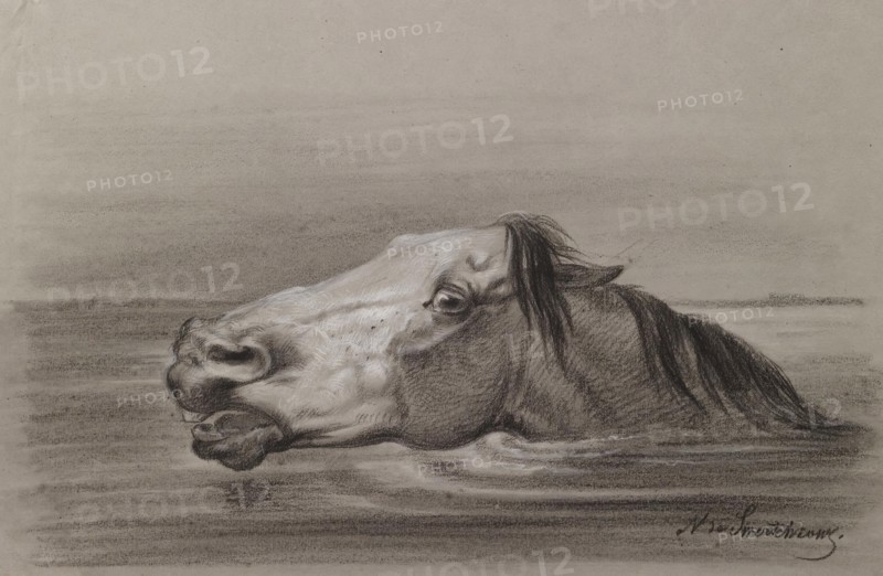 Head of a Swimming Horse, c1865. Creator: Nicolai Egorovich Sverchkov.