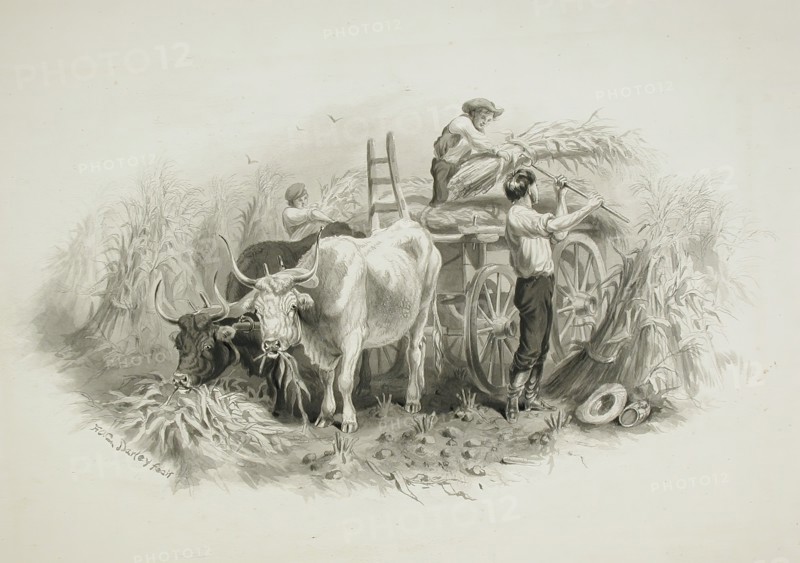 Haying Scene, 19th century. Creator: Felix Octavius Carr Darley.