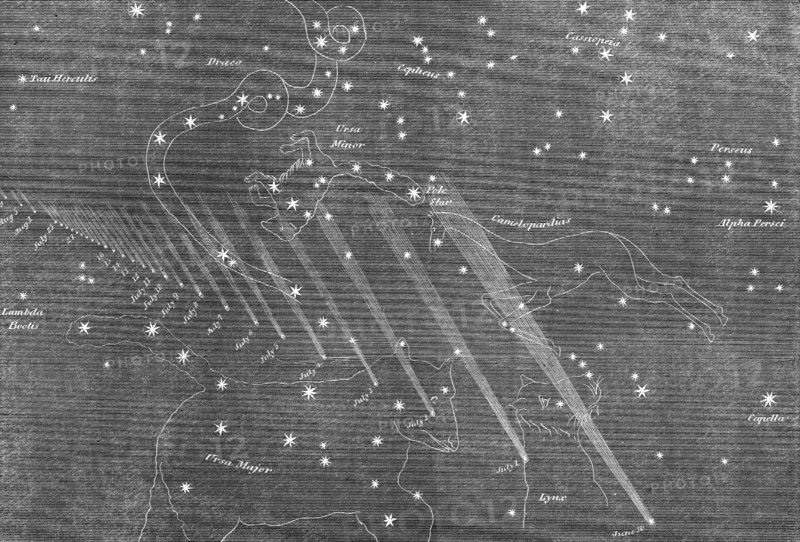 Path of the new comet from its discovery on June 30 to August 9, 1861. Creator: Unknown.