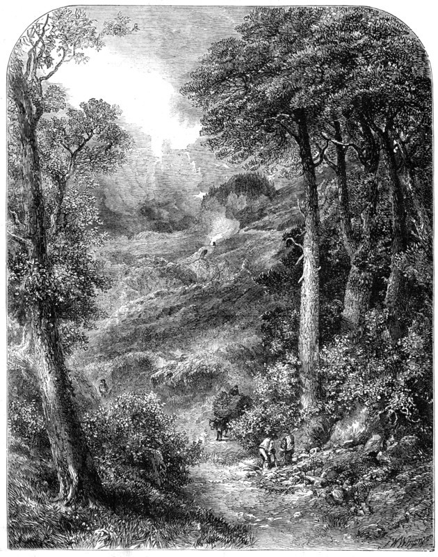 The Path to Blackdown and the Surrey Highlands, by J. W. Weymper, from the exhibition of..., 1861. Creator: Unknown.