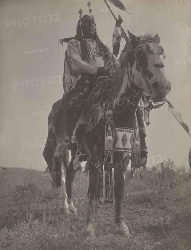 Bird On the Ground, 1908. Creator: Edward Sheriff Curtis.