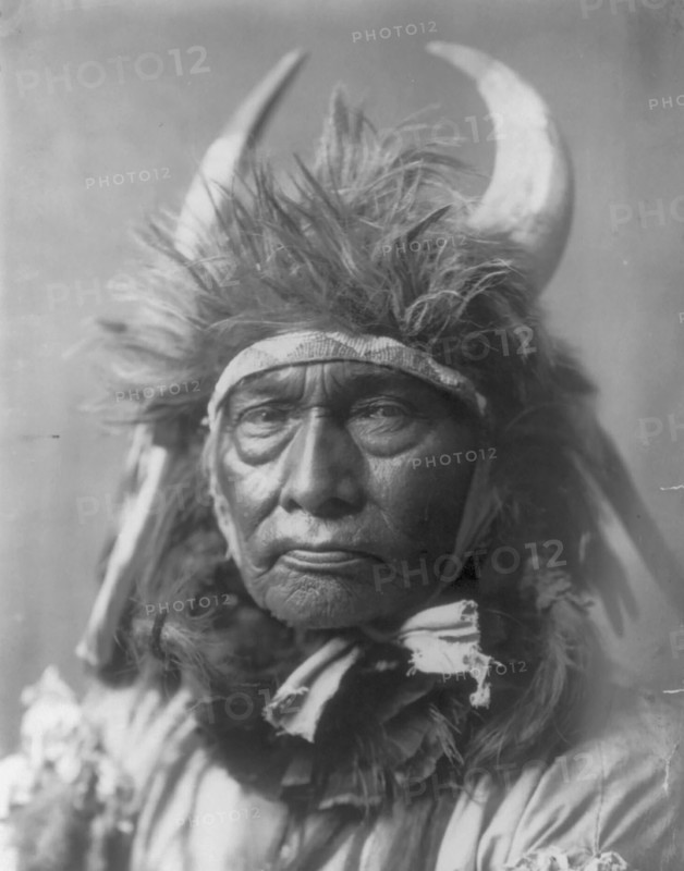 Bull Chief-Apsaroke, c1908. Creator: Edward Sheriff Curtis.
