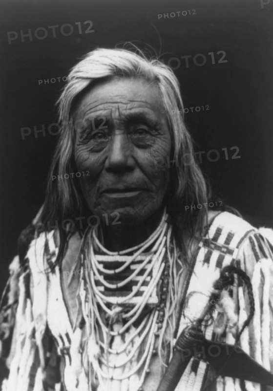 Cayuse type, c1910. Creator: Edward Sheriff Curtis.