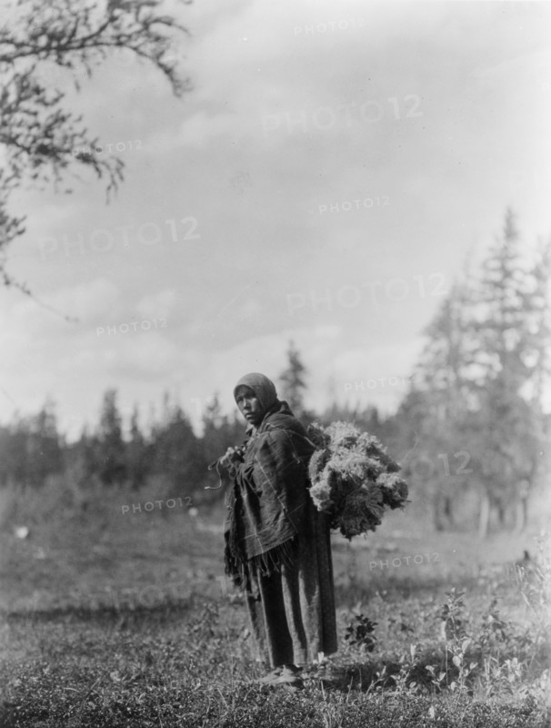 Moss for the baby-bags-Cree, c1927. Creator: Edward Sheriff Curtis.