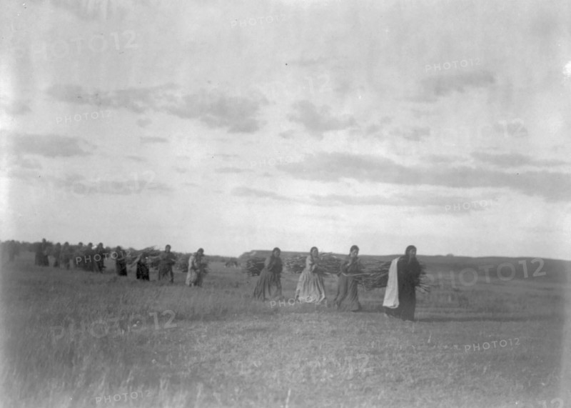 The brush-gatherers-Arikara, c1908. Creator: Edward Sheriff Curtis.