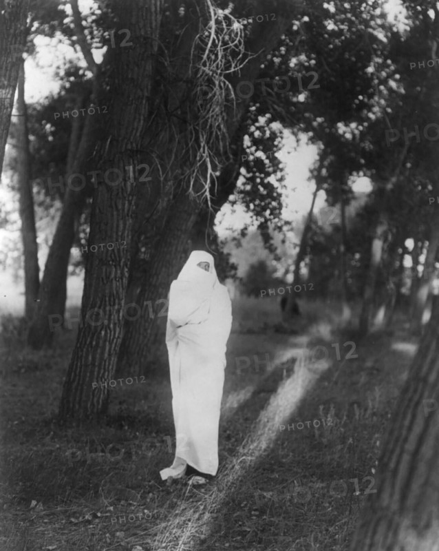 Waiting in the forest-Cheyenne, c1910. Creator: Edward Sheriff Curtis.