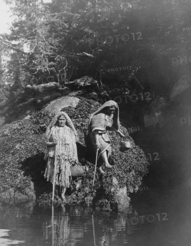 Gathering seaweed-Clayoquot, c1910. Creator: Edward Sheriff Curtis.