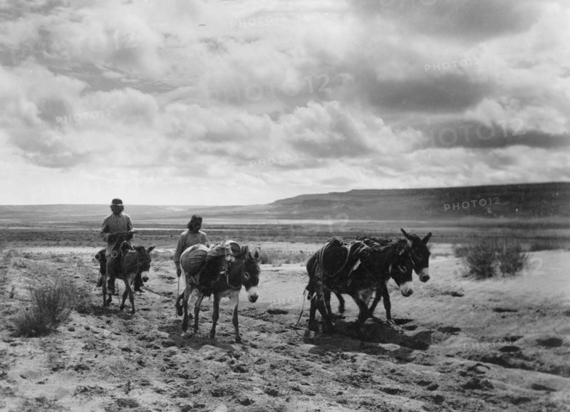 Burros and Moki men on the road, c1900. Creator: Edward Sheriff Curtis.