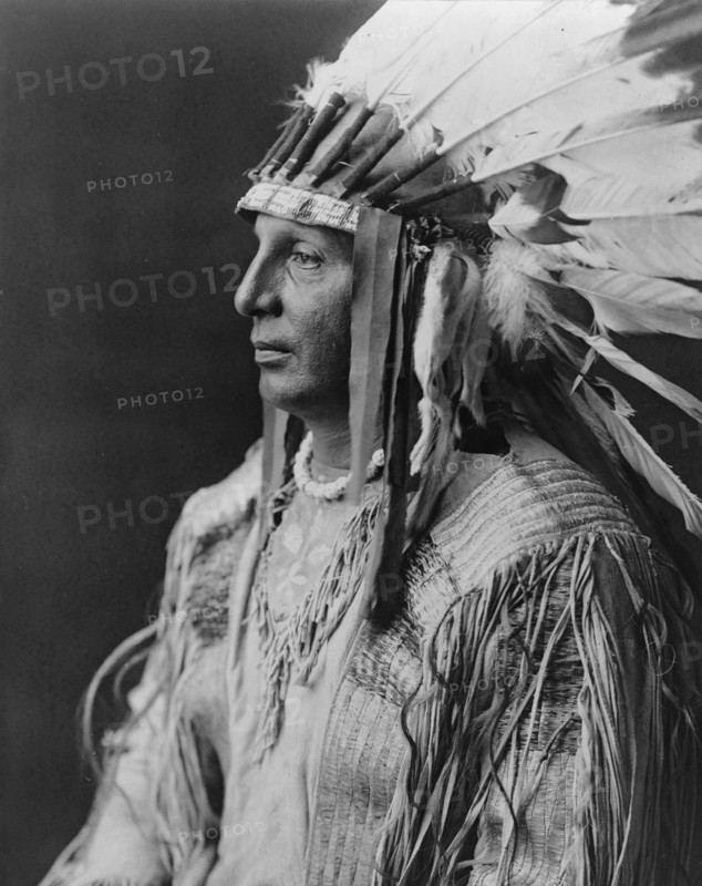 White Shield-Arikara, c1908. Creator: Edward Sheriff Curtis.